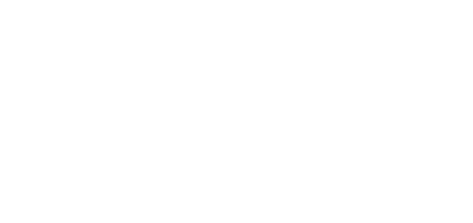 Red Gemini Studios